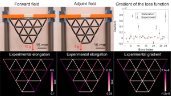 A lattice of black rubbery triangles makes a larger trapezoid shape experiences two different downward forces-one from a 10 gram weight and the other from a 5 gram weight-in succession. These provide what are known as the 