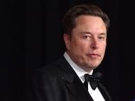 Tesla CEO Elon Musk (AP Image)